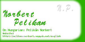 norbert pelikan business card